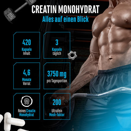 Creatine Ultra Capsules - 420 capsules with 1250 mg of pure creatine monohydrate each - Premium: Ultrafine + mesh factor of 200 - High dosage
