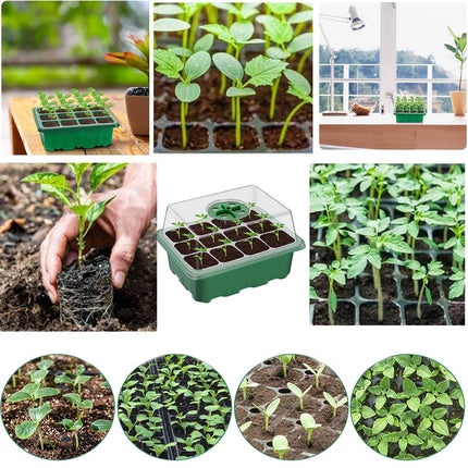 Indoor greenhouse cultivation box, 3 pieces 36 cells mini greenhouse cultivation set, seedling starter trays greenhouse cultivation tray with lid and ventilation for seedling plant
