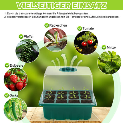 MaxAwe Indoor Greenhouse Propagator with Timing Controller and Seedling Heat Mat, 6 Pack Mini Greenhouse Propagator with 8LED Light, Seedling Starter Trays, Greenhouse Propagator for Plants