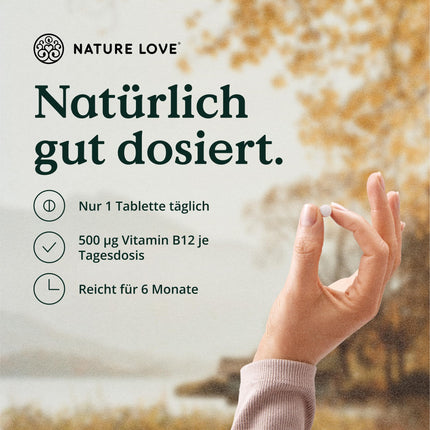 Vitamin B12-180 Tablets - 500 µg per tablet - Both active forms (adenosyl- &amp; methylcobalamin) &amp; depot form - No synthetic additives, high dosage, vegan, laboratory-tested