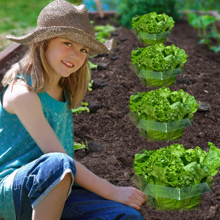 Sunshine smile 20 pieces snail collar, snail collar made of plastic, snail protection, snail protection rings, snail ring garden. Effective snail protection for your lettuce plants and hanging tomatoes.