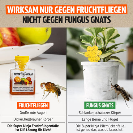 Super Ninja Indoor Fruit Fly Trap – 4-Pack, Effective Fruit Fly Trap for Home and Kitchen, Up to 3 Weeks of Performance per Bottle, Child and Pet Friendly