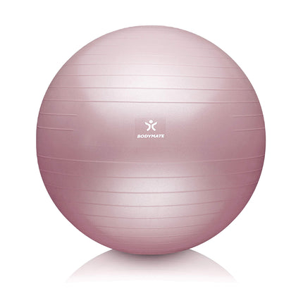 BODYMATE Exercise Ball Seat Ball Training Ball with FREE E-Book including Air Pump, Ball for Fitness, Yoga, Gymnastics, Core Training, for a Strong Back as an Office Chair Rose 65cm