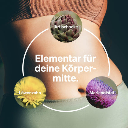 Milk Thistle Artichoke Dandelion Complex - 120 Capsules - Highly dosed with 80% silymarin - Without magnesium stearate, vegan and produced in Germany