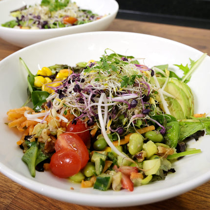 Green SEEDS Sprouting Jar, Set of 2, 1000ml, with High-Quality Stainless Steel Mesh Lid, Stand + FREE Sprouting ABC [Print Version]