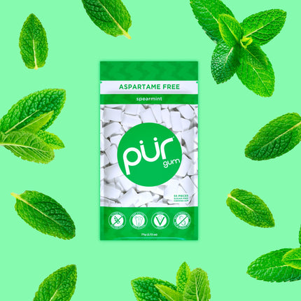 Pur Gum | Sugar-Free Chewing Gum | 100% Xylitol | Vegan, Aspartame-Free, Gluten-Free &amp; Diabetic-Friendly | Natural Spearmint Flavored Chewing Gum, 55 Pieces (1 Pack)