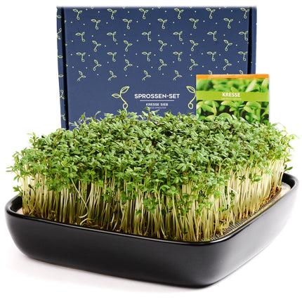 Otaro Cress Seed Trays (Black) | Get started right away | Elegant cress strainer, sprouting trays, sprouting tray | Perfect as thank-you gifts (Premium Ceramic Set)