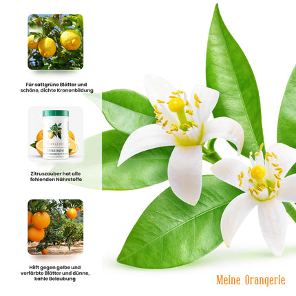 My Orangery Citrus Fertilizer for all Citrus Plants [1kg] - Premium Plant Fertilizer - Professional Citrus Fertilizer for Lemon Trees, Orange Trees, Limes and many more (1000 grams)