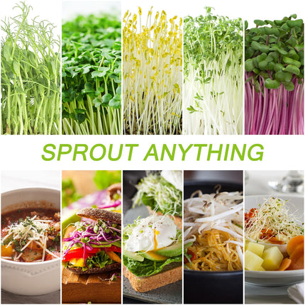 sorliva sprouting jar, set of 2, 1000 ml sprouting device with lid, stand and drip tray, seedling sprouter for sprout cultivation, sprouts, microgreens, alfalfa seeds, sprouting jar kit