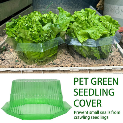 Sunshine smile 20 pieces snail collar, snail collar made of plastic, snail protection, snail protection rings, snail ring garden. Effective snail protection for your lettuce plants and hanging tomatoes.