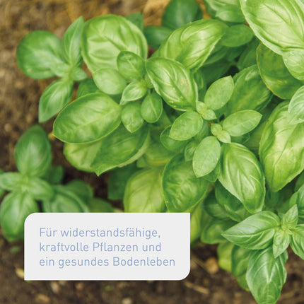 Plantura organic universal fertilizer with long-lasting effect, for all plants, animal-free &amp; organic, 1.5 kg