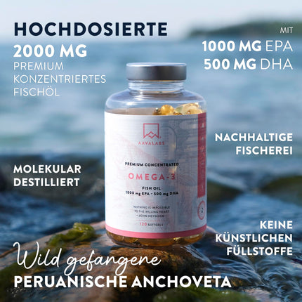 Omega 3 Capsules High Dose 2000mg Omega 3 Oil 1000mg EPA + 500mg DHA per Daily Dose (2 Premium Omega 3 Fish Oil Capsules) - Omega-3 Fatty Acid Capsules - 120 Capsules Fish Oil Omega 3 High Dose 60 Days