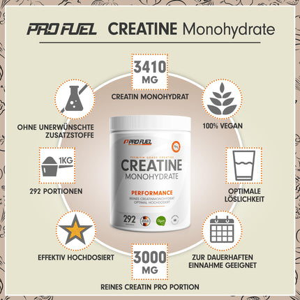 Creatine Monohydrate Powder 1kg / 1000g pure creatine monohydrate in micronized quality - optimally high-dose creatine monohydrate - creatine powder without additives, 100% vegan - 292-day supply