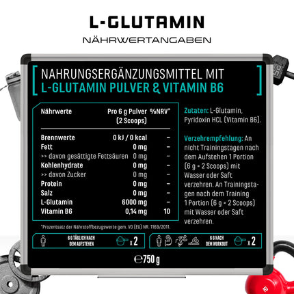 L-Glutamine Powder - 750 g - Premium: Pure &amp; ultrafine L-Glutamine - 100% micronized L-Glutamine amino acid - Unflavored Neutral - Laboratory tested - High dosage - Vegan
