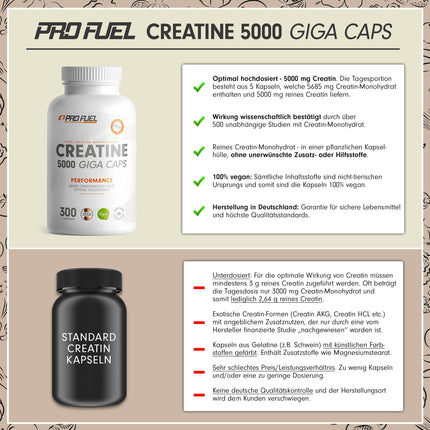Creatine 5000 Giga Capsules - 5000 mg creatine per day - high-dose creatine capsules with 1137 mg creatine monohydrate per capsule - creatine monohydrate capsules without additives, laboratory-tested &amp; 100% vegan - 300 capsules