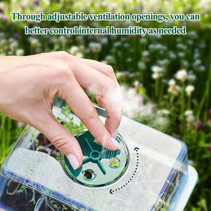 ZoneYan Indoor Greenhouse Propagator, 6 Pack 72 Cells Mini Greenhouse Propagation Kit, Greenhouse Propagation Tray with Lid and Ventilation for Seedling Plant, Seedling Growing Pots for Garden Seedlings