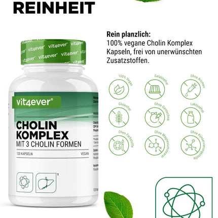 Choline Complex with 3 Choline Forms - 120 Capsules - Bitartrate, Citicoline &amp; Phosphatidylcholine in a synergistic combination - No additives - Vegan