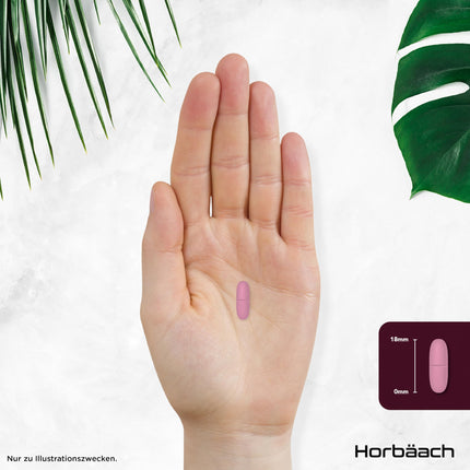 Beetroot Tablets High Dose 36,000mg | 120 Vegan Tablets | Beetroot Superfood | Beetroot Extract | Horbaach