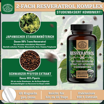 Resveratrol -1000mg per daily dose- IMPORTANT: 100:1 extract (=100000mg Japanese knotweed root) + piperine | 98% Trans-Resveratrol high dosage | Laboratory tested -DE- SCHEUNENGUT®