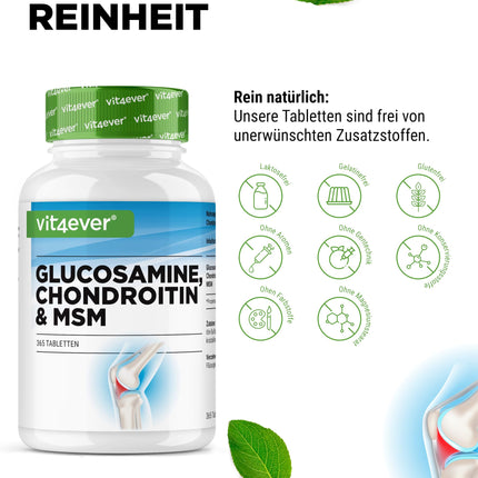 Glucosamine Chondroitin MSM - 365 Tablets - High Dose with 2000 mg per day - 3 Month Supply - No Unwanted Additives