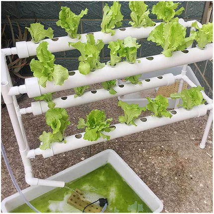 NadineDutol Hydroponic Grow Kit, 2-Layer Hydroponic Growing Equipment with Grow Baskets for Growing Vegetables and Fruits on Balconies, Gardens, Patios, and Courtyards (2 Layers, 36 Planting Sites)
