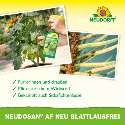 Neudorff Neudosan AF New Aphid-Free – Controls aphids, whiteflies, and spider mites on fruit, vegetables, herbs, and ornamental plants, 500 ml