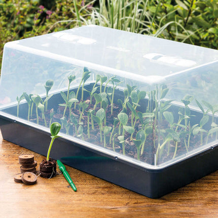 Romberg Greenhouse XXL | Professional quality | Height-optimized | Ideal for growing cuttings | 59 x 39 x 27 cm