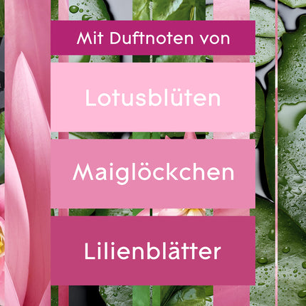 Glade (Brise) Automatic Spray, Room Fragrance, Holder incl. 1 Refill, Relaxing Zen, 269 ml