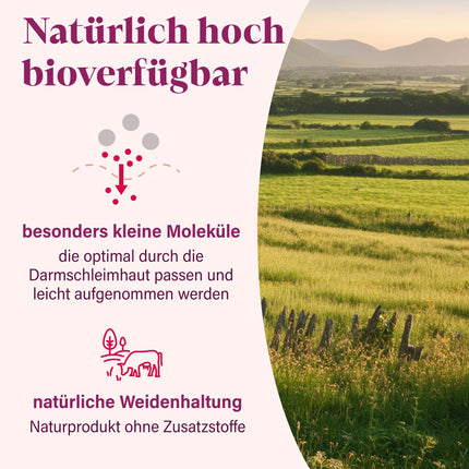 Bioactive COLLAGEN Powder [450g] - very good solubility, highly pure, tasteless, hypoallergenic, grass-fed - Collagen Hydrolysate Peptides Types 1, 2 and 3 - by NovaNature®