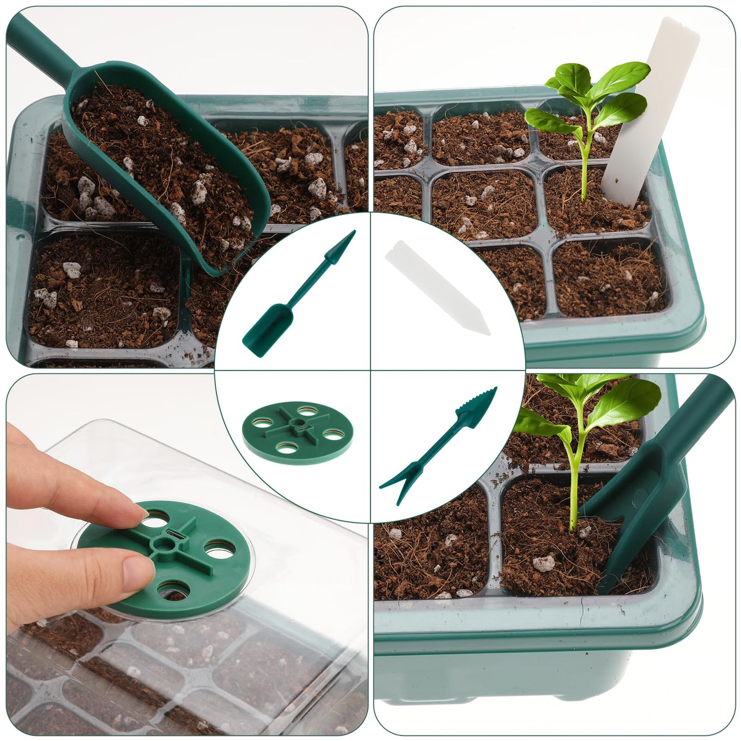 5 Stück Mini Gewächshaus mit erhöhten Deckel, Setzling Starter mit Pflanzenlichter, Gewächshaus Klein Grow Zubehör, Tabletts Treibhaus Anzuchtschale Zimmergewächshaus Anzuchtkasten Set (Green-A)