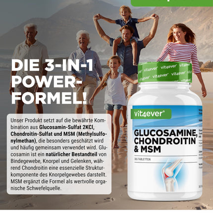 Glucosamine Chondroitin MSM - 365 Tablets - High Dose with 2000 mg per day - 3 Month Supply - No Unwanted Additives