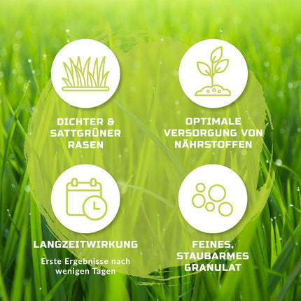 TerraDomi Lawn Fertilizer Spring, Summer &amp; Autumn 25kg NPK 15-15-15 | Fertilizer with long-lasting effect | Displaces moss | For over 1000 m² of lawn | Spreader-suitable fertilizer | Low dust &amp; with extra sulfur