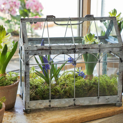 Esschert Design greenhouse with lockable lid, plant house size S, 29.3 x 15.4 x 26.4 cm, iron/glass with carrying handle, stable feet