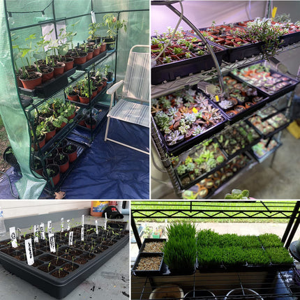Mengxin 5 Pack Grow Trays Plants Black 54 x 28 cm Grow Trays Plant Trays Without Drainage Holes for Plant Germination Microgreens Hydroponic Application