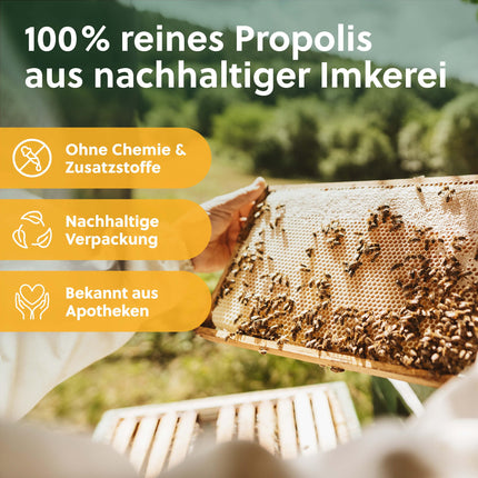 beegut ORGANIC Propolis Capsules, 60 capsules in a vegetable capsule shell with ORGANIC Propolis extract, sustainable packaging