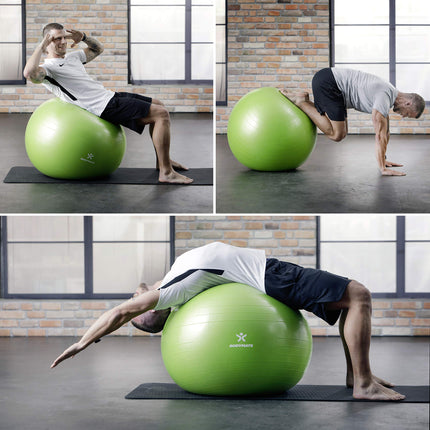 BODYMATE Exercise Ball Seat Ball Training Ball with FREE E-Book including Air Pump, Ball for Fitness, Yoga, Gymnastics, Core Training, for a Strong Back as an Office Chair Rose 65cm