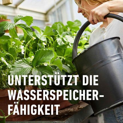 COMPO BIO Berry Long-Term Fertilizer for all berry plants, pome and stone fruit, 5 months long-term effect, 750 g, Berry Fertilizer