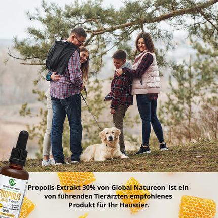 Propolis-in-water solution extract 30% without alcohol, large bottle 50 ml, tincture suitable for children and animals, polyphenols, flavonoids and bioflavonoids, 100% natural, alcohol-free