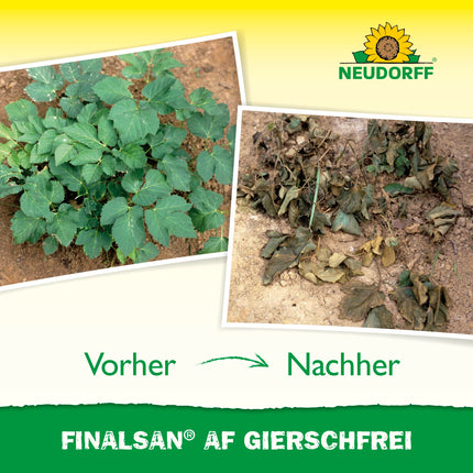 Neudorff Finalsan AF GierschFrei – Fast-acting weed killer against ground elder and horsetail. Effective right down to the roots, 750 ml