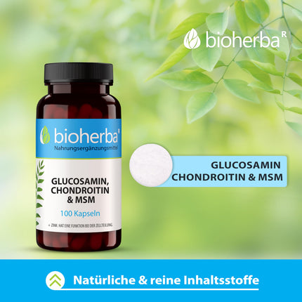 Glucosamine Chondroitin MSM + Zinc – 100 capsules with zinc for normal bone function and cell protection from BIOHERBA PZN 17190938