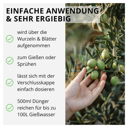 Flora Boost Olive Tree Fertilizer Flora Boost 500ml I For up to 100L of irrigation water I Long-term fertilizer for improved flowering I Liquid leaf and root fertilizer I 100% natural plant fertilizer
