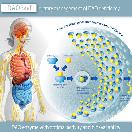 DAOfood - Dietary management for DAO deficiency - Dispenser 60 mini gastro-resistant tablets - DAO enzyme