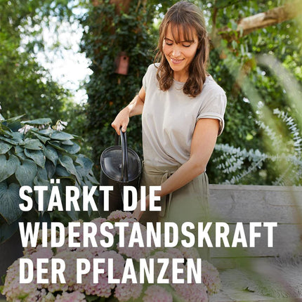 COMPO Hydrangea and Camellia Fertilizer for all bog plants, special liquid fertilizer with extra iron, 1 liter, Hydrangea Fertilizer