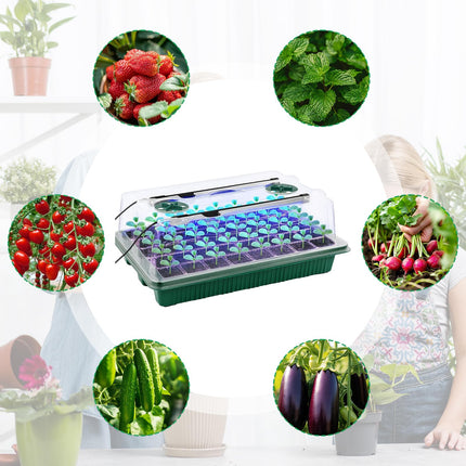 Greenhouse, 3PCS Growing Pots Growing Soil Greenhouse Small Growing Set Indoor Greenhouse 120 Cells Greenhouse Growing Set Grow Box With Plant Lamp For Plant Growth And Seed Germination
