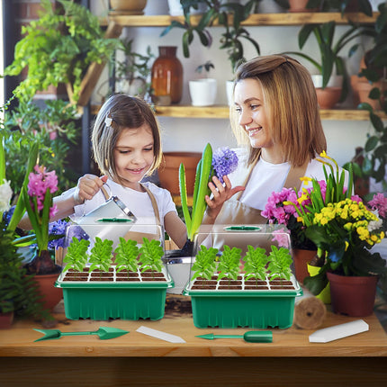 Verdenu 10 Pack Indoor Greenhouse Propagator, 120 Cells Mini Greenhouse for Starting Seedling Growth, Germination Kits with Green Mini Greenhouse Floor, 8.4CM Height of Humidity Dome