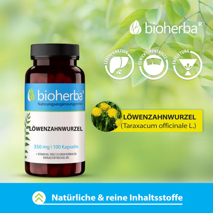 Dandelion Dandelion Root 350 mg 100 Capsules, High-quality complex with vitamin B6 to support liver health from BIOHERBA