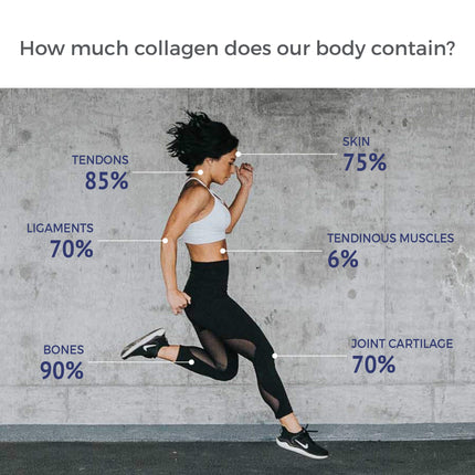 Seagarden Marine Collagen Powder - Collagen Peptide Protein Powder Type 1 - Pure Collagen Powder from Wild Cod - Collagen Powder for Women &amp; Men, Hair, Skin, Muscles, Bones - 300g, 60 servings