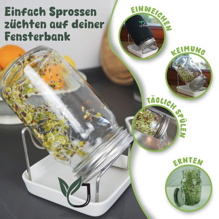 Vitaja sprouting jar set with ceramic bowl - 1 set for sprout cultivation - (incl. darkening cover) - sprouting jars for sprout cultivation - dishwasher safe - cultivation set for the windowsill