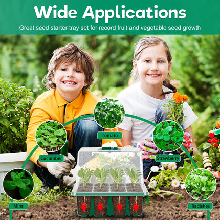 Indoor greenhouse cultivation box, 5 pieces mini greenhouse cultivation with plant lamp, greenhouse with full spectrum lid and ventilation, ideal for plant growth