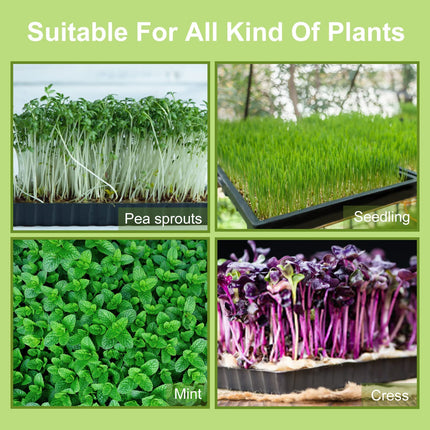 Getervb 5 pieces growing plate plant growing tray plastic planting tray greenhouse growing tray for garden balcony vegetables fruit seeds plant germination